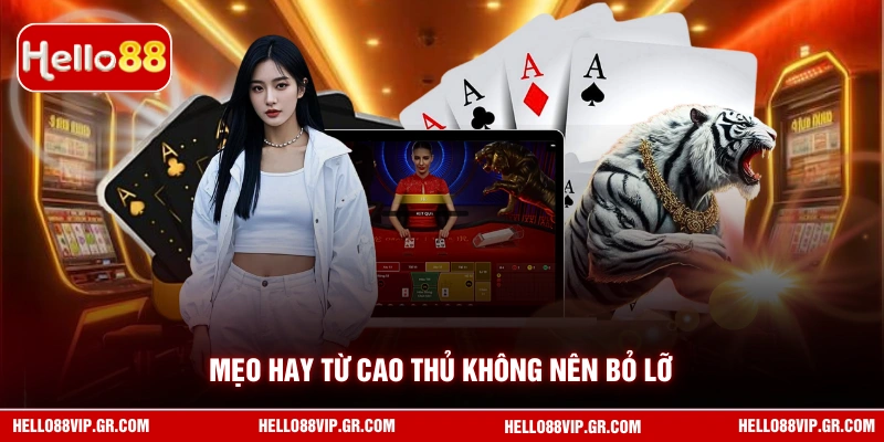 Rồng Hổ HELLO88 - Chơi Hiệu Quả Giúp Bạn Thắng Lớn Mẹo hay từ cao thủ không nên bỏ lỡ