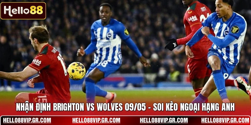 Nhận Định Brighton Vs Wolves 09/05 - Soi Kèo Ngoại Hạng Anh Nhận Định Brighton Vs Wolves 09/05 - Soi Kèo Ngoại Hạng Anh